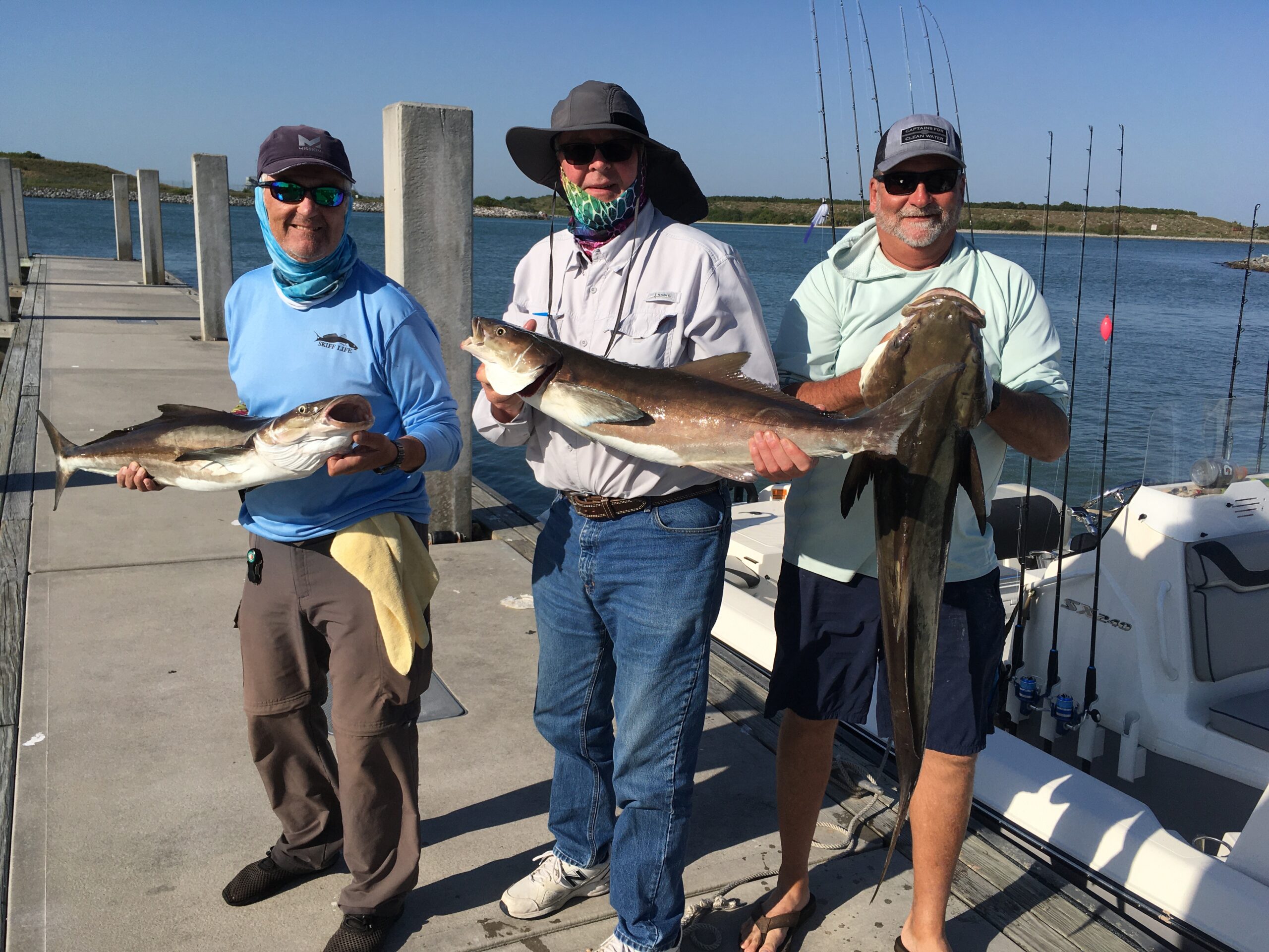 This Was The Best Cobia Bite Of My Life [Nearshore Fishing]