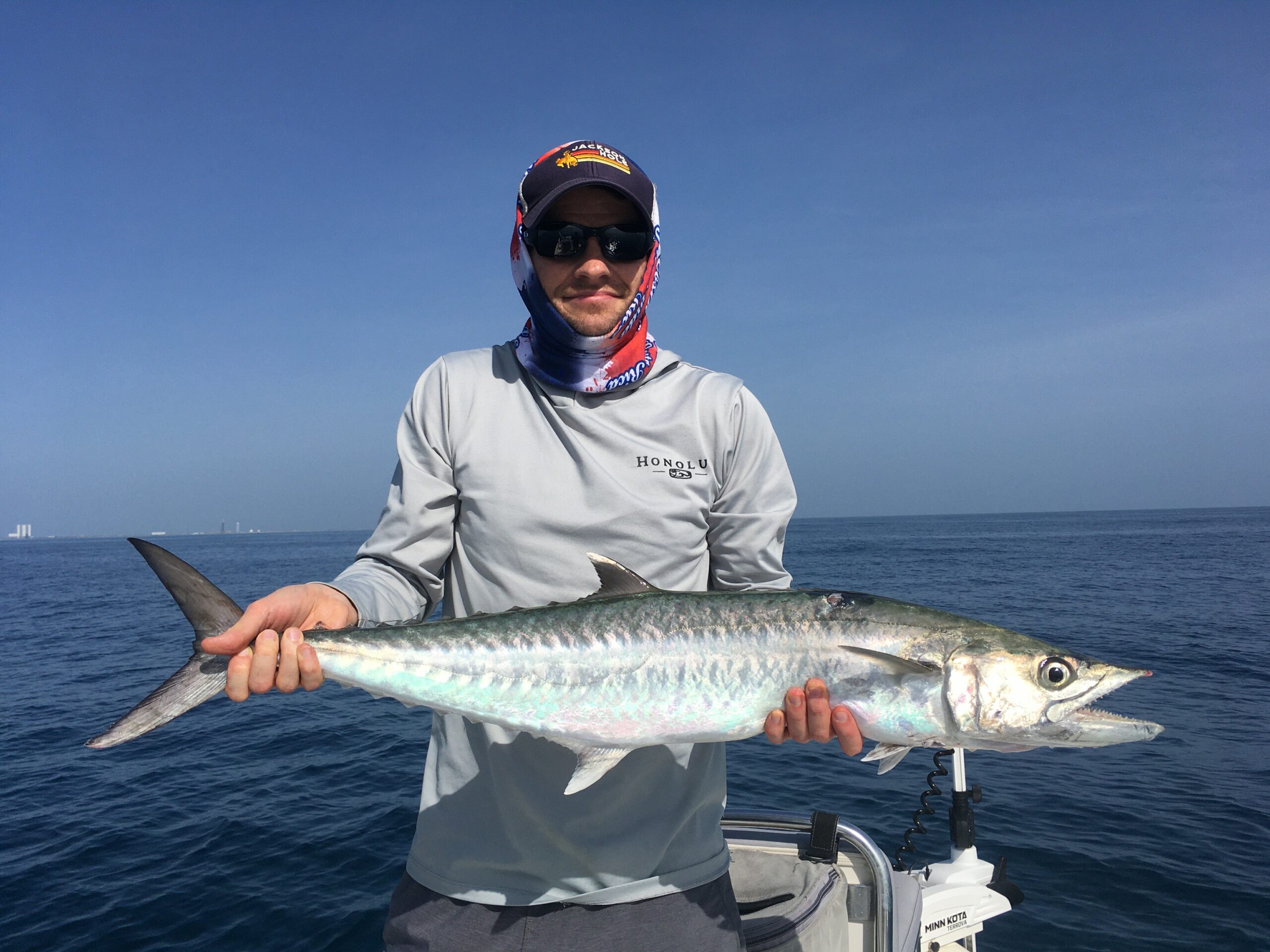 Catching slimy mackerel and pilchards? - Fishing Chat - DECKEE