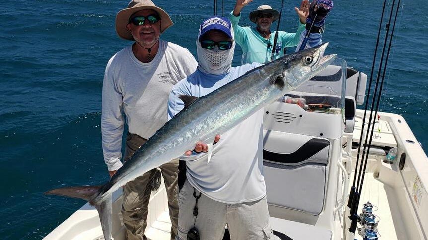 what happens when using chunked ladyfish for bait at the beach